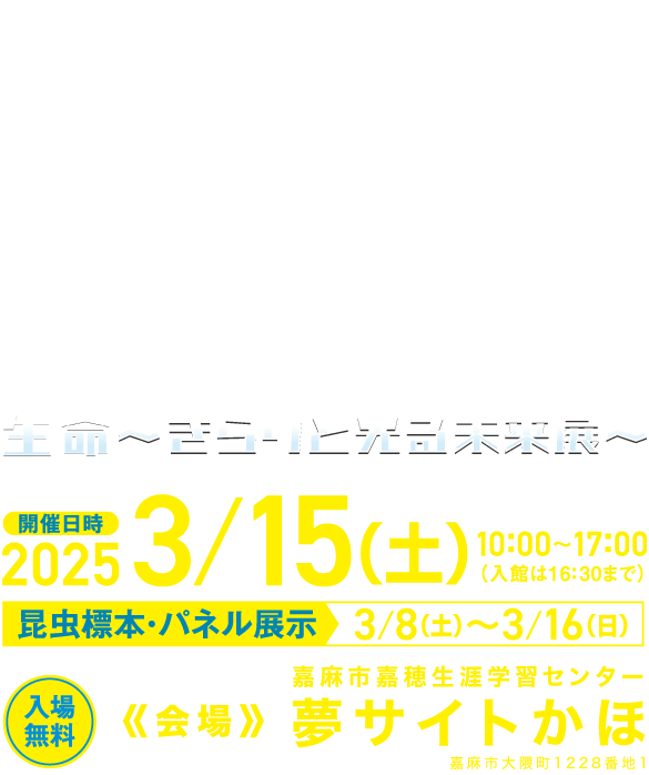 ふくおか大昆虫展inかま |生命〜きらりと光る未来展〜