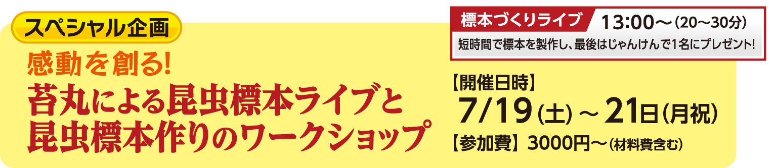 苔丸による昆虫標本ライブと昆虫標本作りのワークショップ