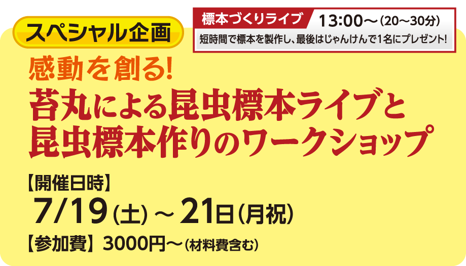 苔丸による昆虫標本ライブと昆虫標本作りのワークショップ