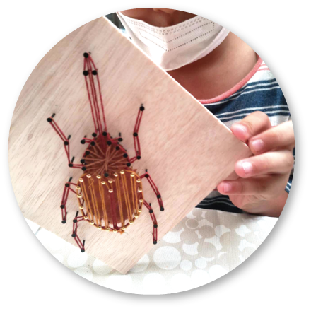 夏休み自由研究向け