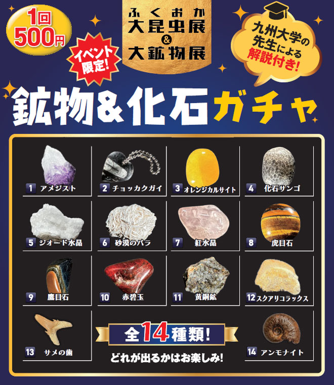 鉱物and化石ガチャ 全14種