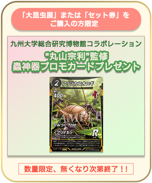 来場得点 アリヅカコオロギ