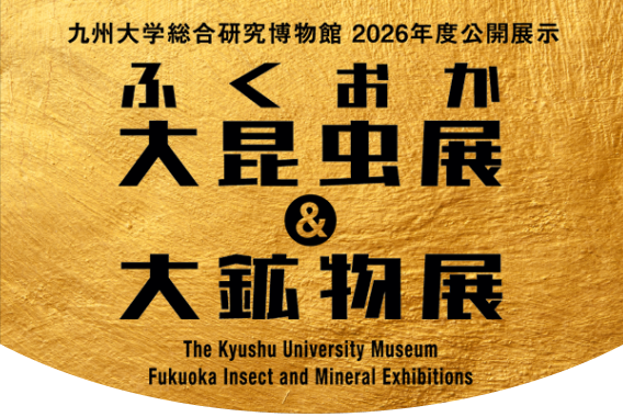 福岡 大昆虫展 大鉱物展