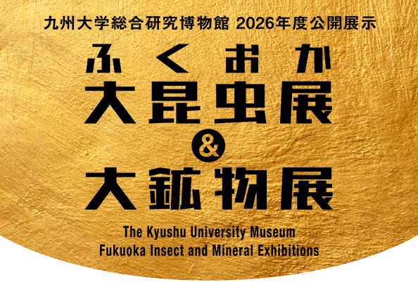 福岡　大昆虫展＆大鉱物展